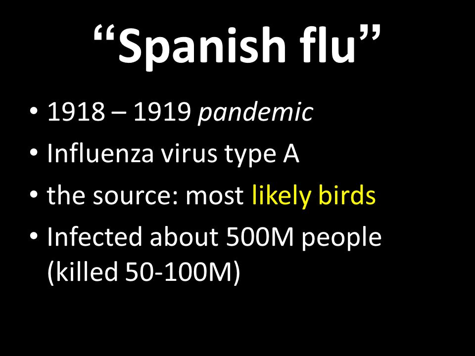 Bird flu could be as deadly as the 1918 Spanish flu pandemic